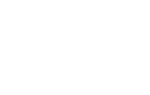 Logo Fast Lane Drive