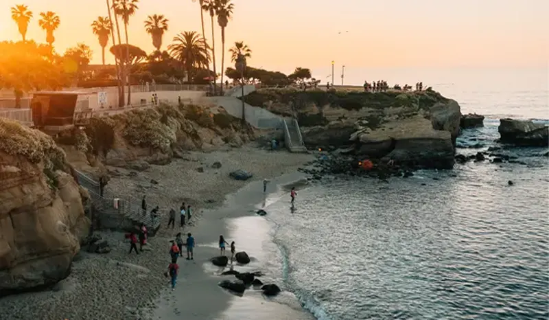 an overhead view of La Jolla Shores