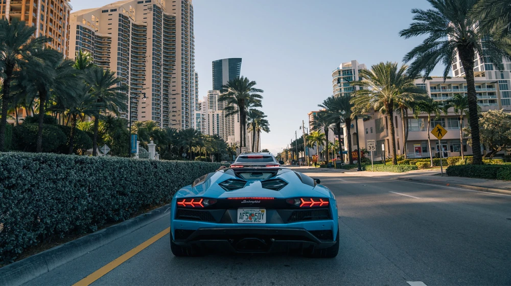 Miami June Drive