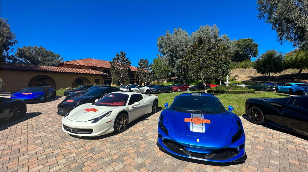 Mansion Party